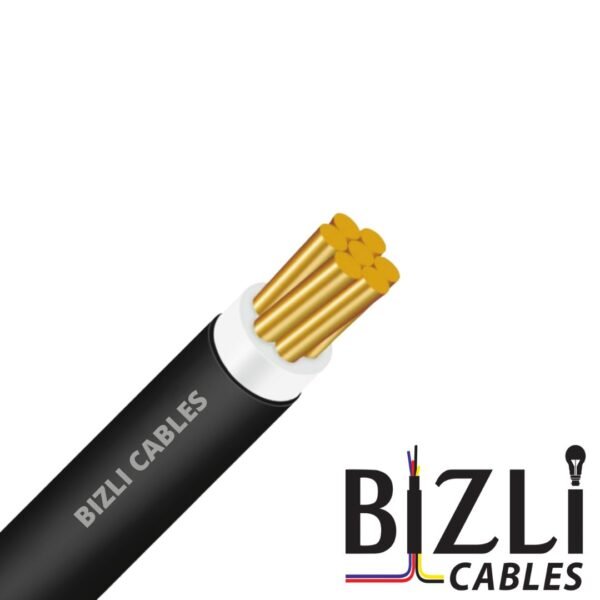 BIZLI 1 Core Cable 1x10 RM Black 7w BYA skin coated flame retardant FR wire for heavy-duty and safe electrical wiring