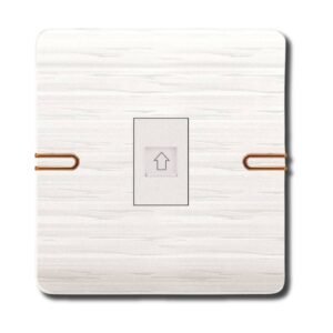 EZZE Pearl Gold Computer Socket একটি আধুনিক ও নিরাপদ RJ45 সকেট যা দ্রুত ও নিরবিচ্ছিন্ন ইন্টারনেট সংযোগ নিশ্চিত করে। পার্ল গোল্ড ফিনিশ এটিকে করে তোলে স্টাইলিশ ও ব্যবহারবান্ধব।
